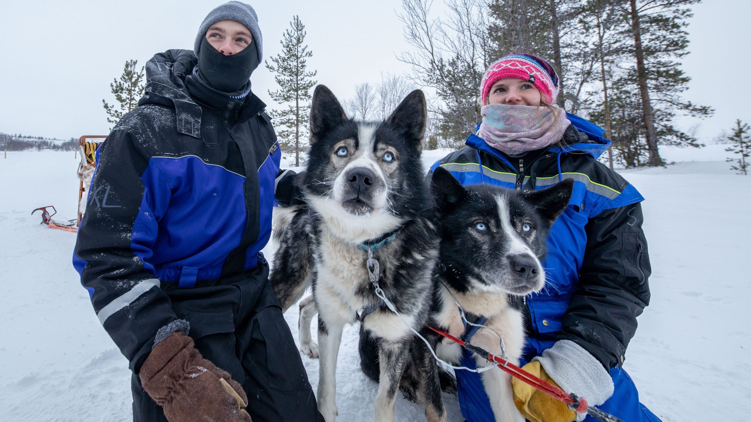 Up close with the Huskies