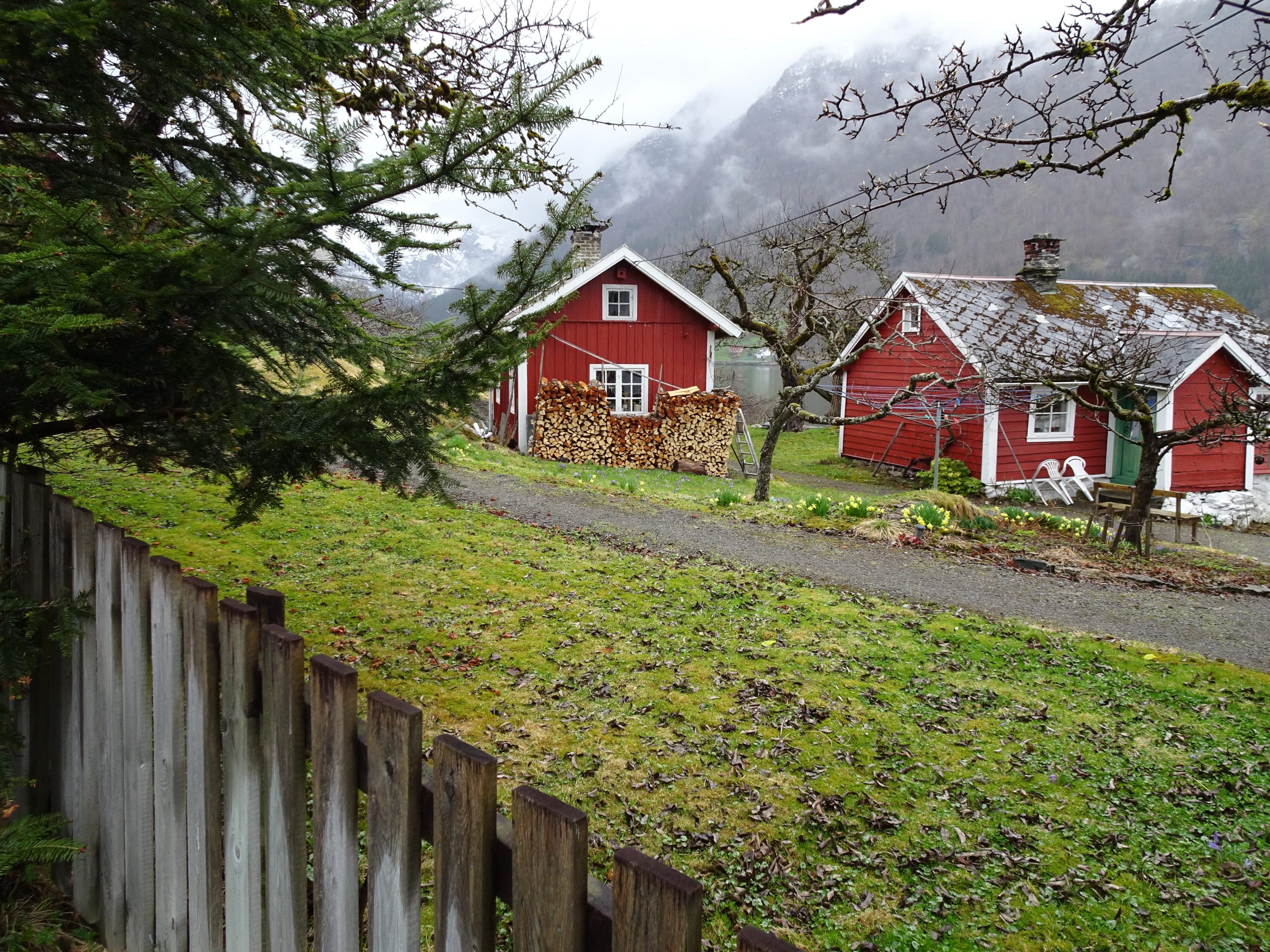 Looking into backyards (photo credit Karen Kerr)