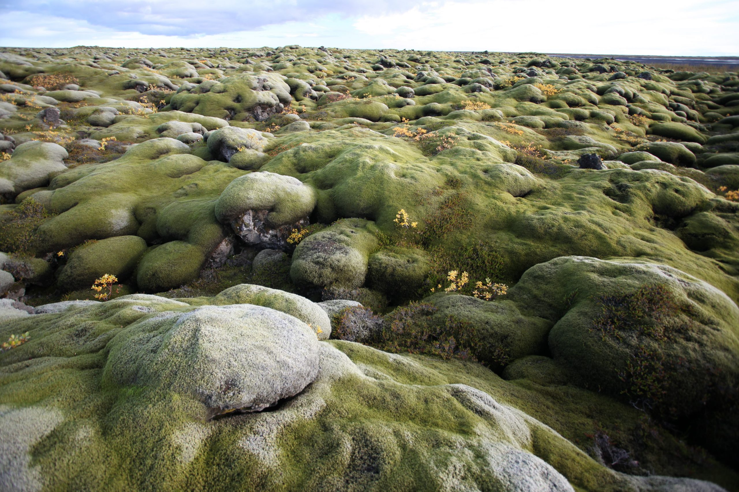 Out of this world landscape at the Lava field in Iceland