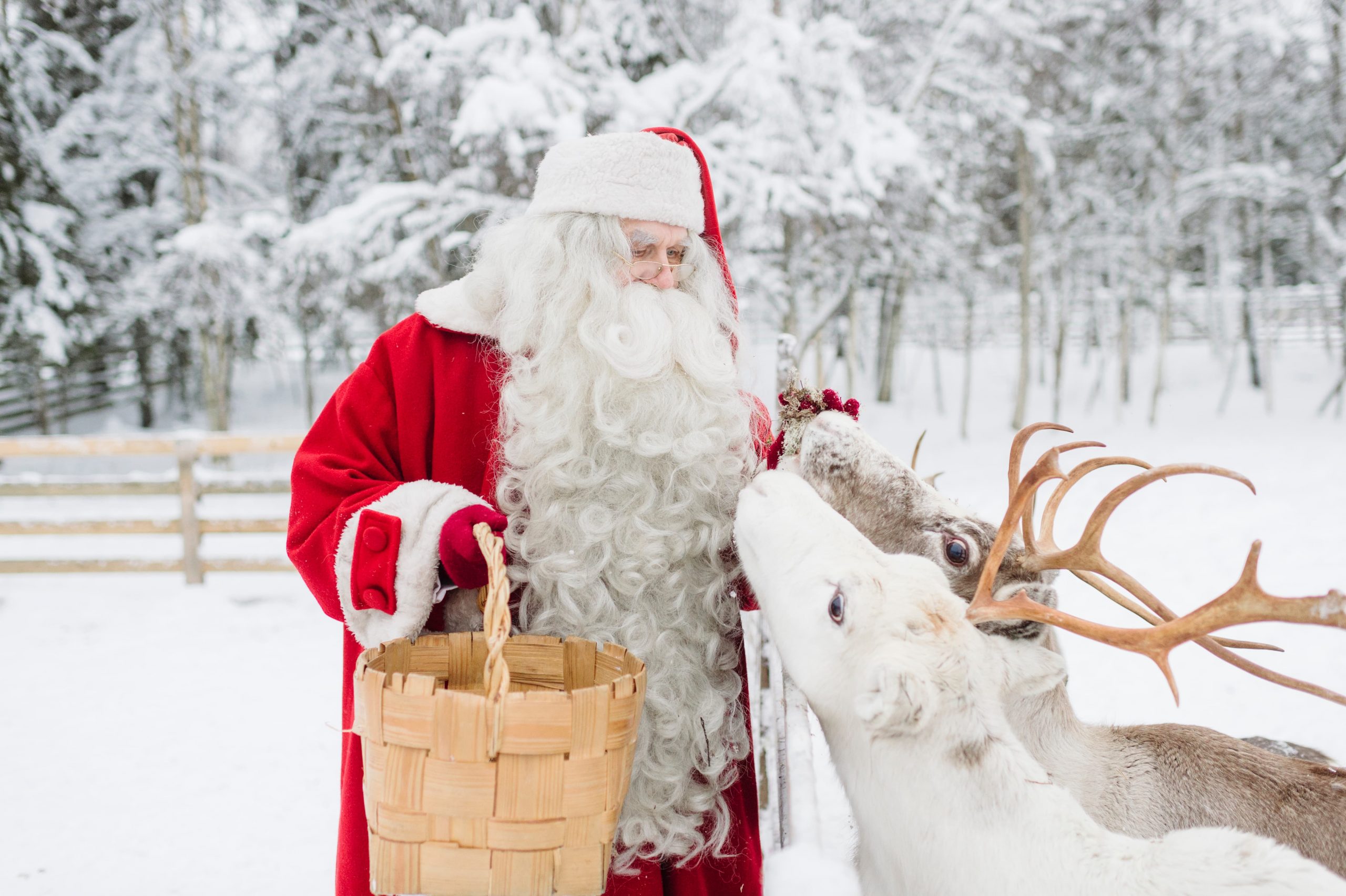 Santa feeding 2 reindeer (credit - Visit Rovaniemi, Lapland Material Bank)