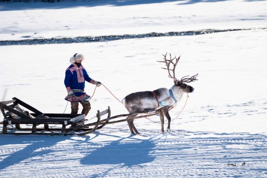 Reindeer tours from Sorrisniva