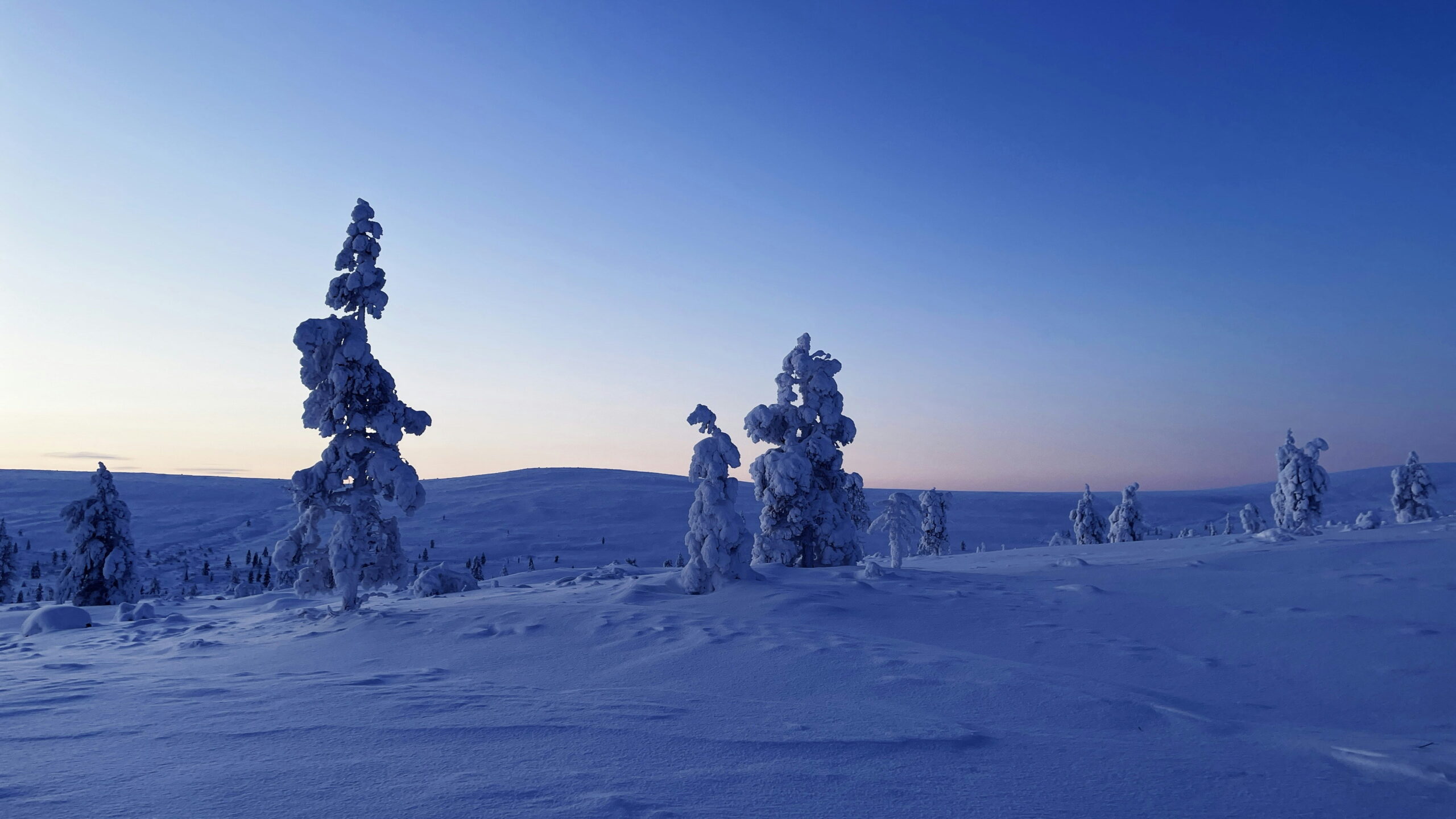 Saariselka, Lapland, Finland